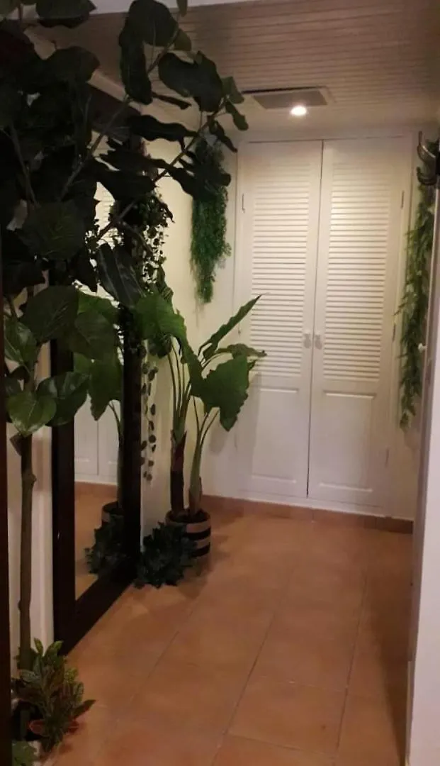 Appartement Sainte-Anne Guadeloupe