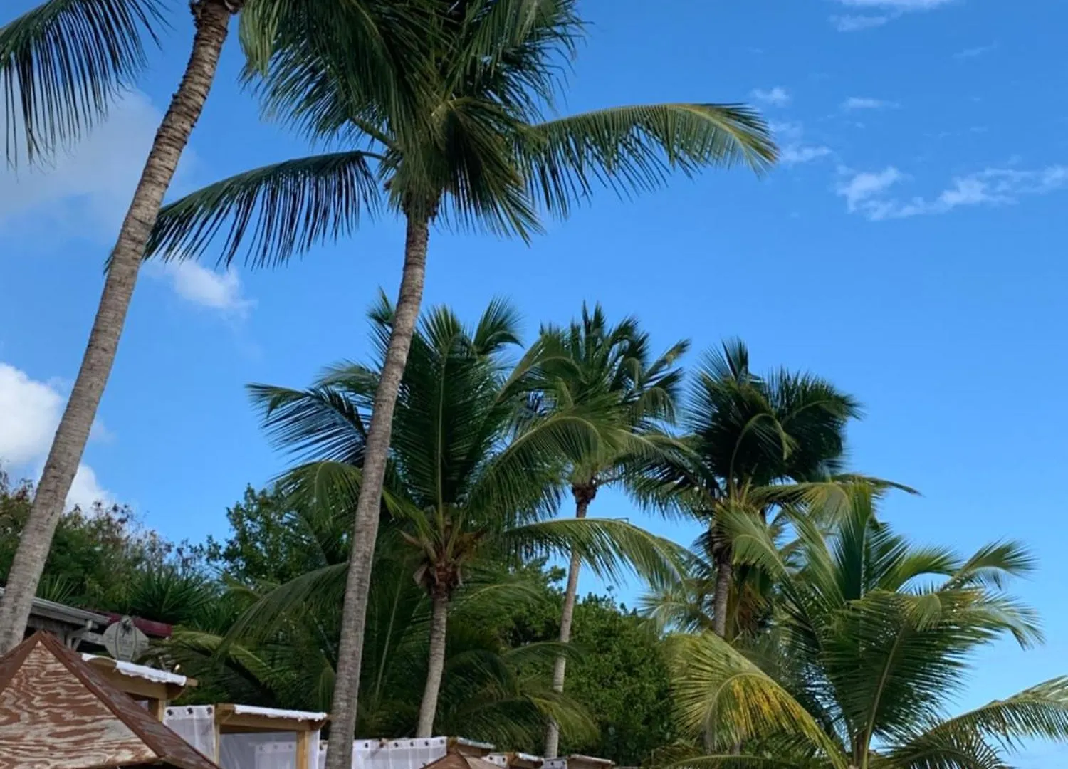 Appartement Sainte-Anne Sainte-Anne (Grande-Terre)